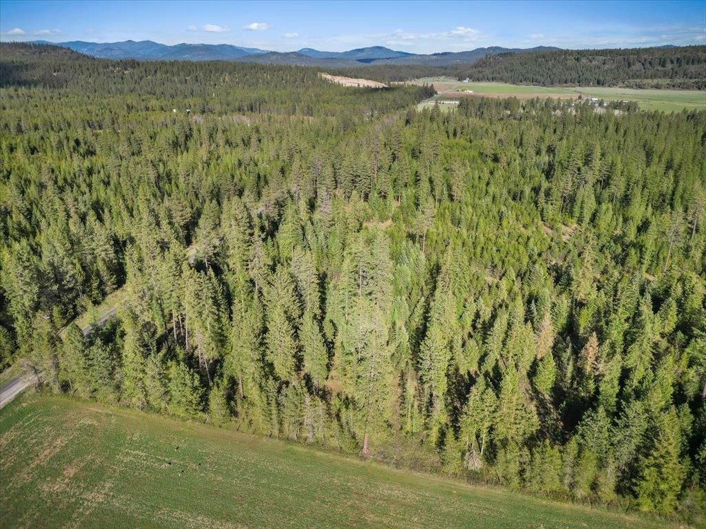 Photo of XXXX Springdale Hunters Rd, Springdale, WA 99173 (MLS # 202616277)