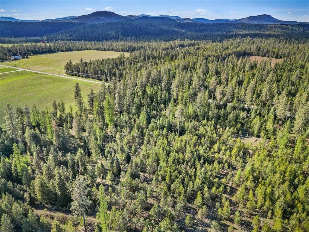 Photo of XXXX Springdale Hunters Rd, Springdale, WA 99173 (MLS # 202616277)