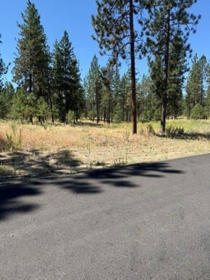 LONG LAKE DR, NINE MILE FALLS, WA 99026 - Image bfa44b2d75d22ca2a3a2af7976ecce61/488207546