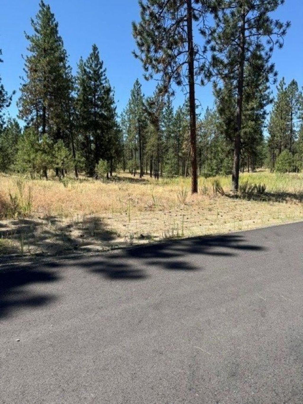 Photo of Lot 11 Long Lake Estates Est, Nine Mile Falls, WA 99026 (MLS # 202620854)