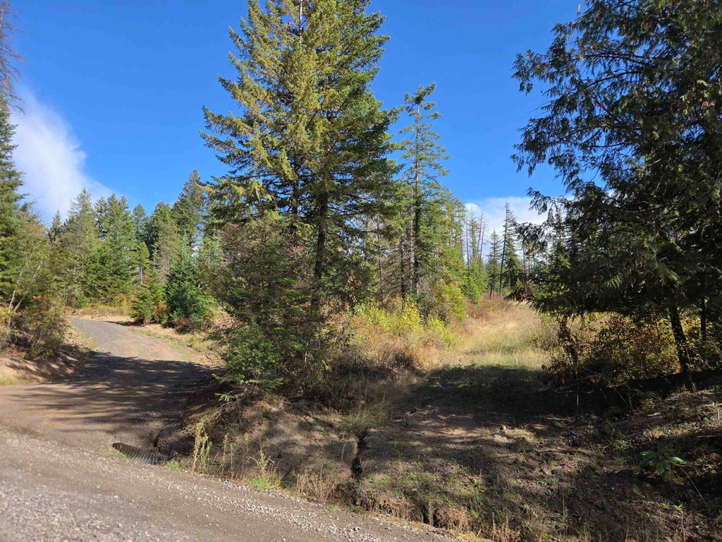 Photo of 20866 N Mt Carlton Rd, Mead, WA 99021 (MLS # 202625587)