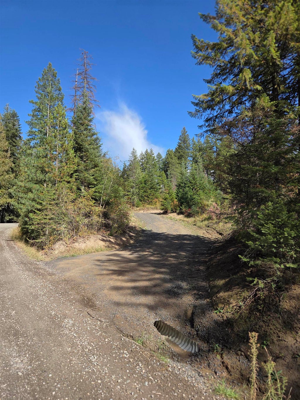 Photo of 20866 N Mt Carlton Rd, Mead, WA 99021 (MLS # 202625587)