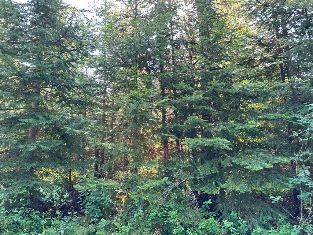 Photo of 7398 Cottonwood Rd, Wellpinit, WA 99040 (MLS # 202525487)