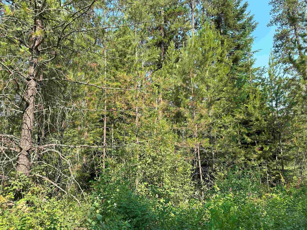 Photo of 7398 Cottonwood Rd, Wellpinit, WA 99040 (MLS # 202525487)