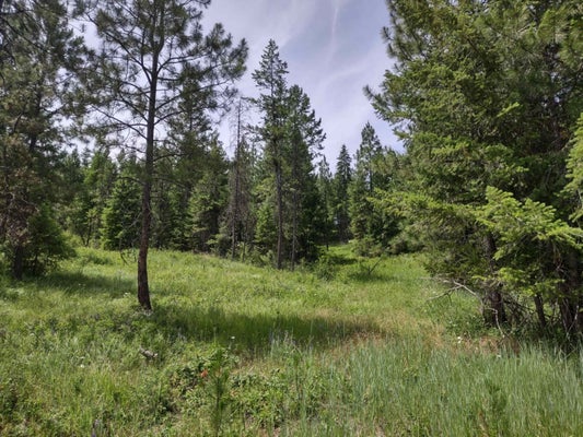 SPRINGDALE HUNTERS RD, SPRINGDALE, WA 99173 - Image c18dd2a17f8eec5af0ae87fa331f9de1/1613478730
