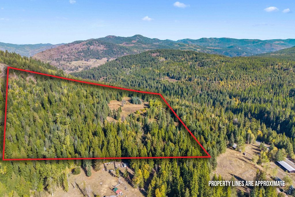 Photo of 3841 Deep Lake Boundary Rd, Colville, WA 99114 (MLS # 202616525)