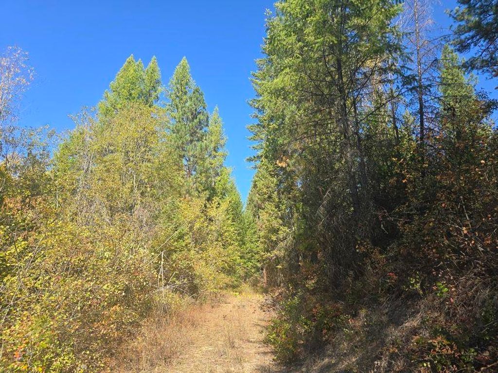 Photo of 3XXX Sand Creek Rd, Kettle Falls, WA 99141 (MLS # 202525584)