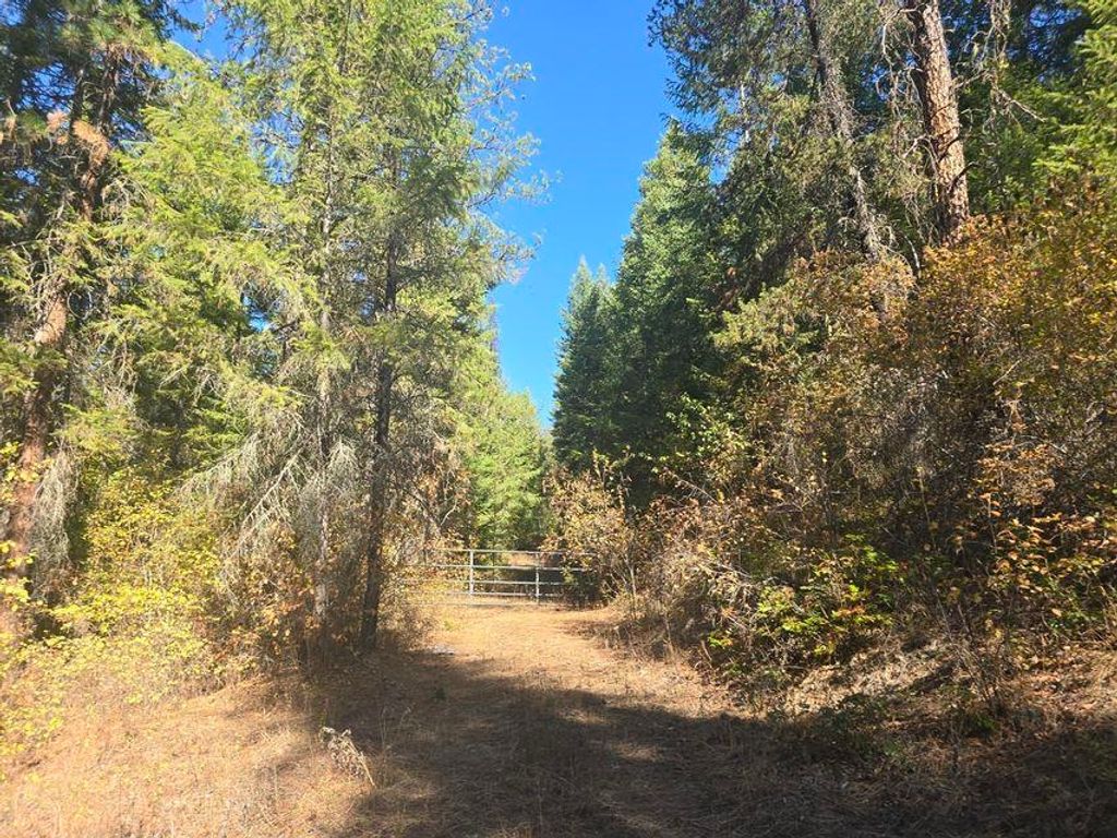 Photo of 3XXX Sand Creek Rd, Kettle Falls, WA 99141 (MLS # 202525584)