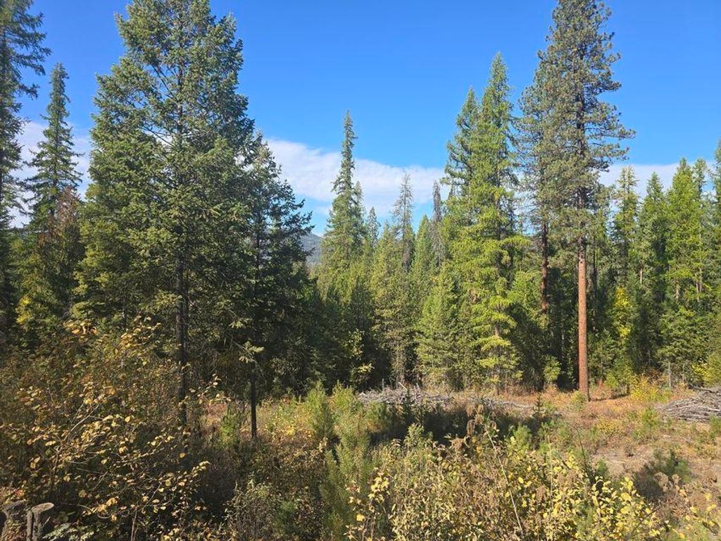 Photo of 3XXX Sand Creek Rd, Kettle Falls, WA 99141 (MLS # 202525584)