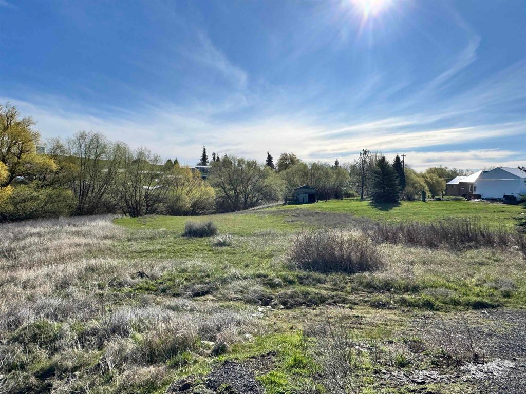 Photo of XX W Ross St, Davenport, WA 99122 (MLS # 202616518)
