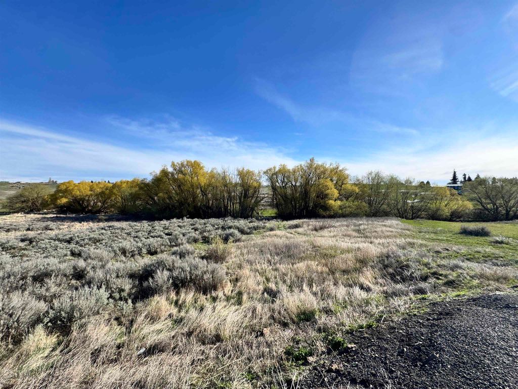 Photo of XX W Ross St, Davenport, WA 99122 (MLS # 202616518)