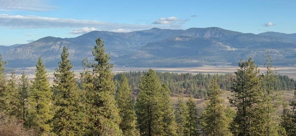 FARM TO MARKET RD LOOP RD, CHEWELAH, WA 99109 - Image c9e8d6957795bec9f3f19f9ca671dec0/3151069479