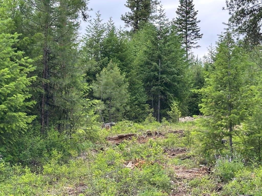 Photo of 36XX Lot D Sheridan Rd, Republic, WA 99166 (MLS # 202624609)