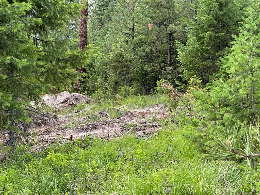 Photo of 36XX Lot D Sheridan Rd, Republic, WA 99166 (MLS # 202624609)