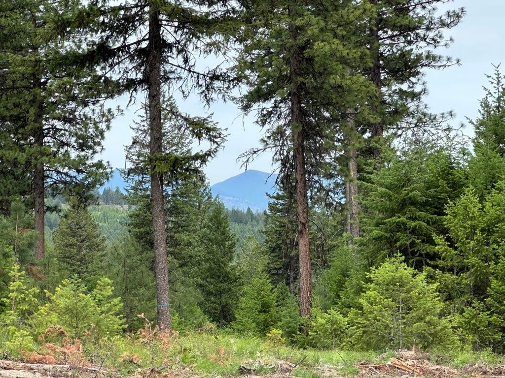 Photo of 36XX Lot D Sheridan Rd, Republic, WA 99166 (MLS # 202624609)