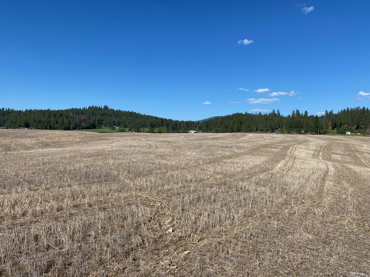 Photo 8 of 13 of 902X E Little Deep Creek Ln land