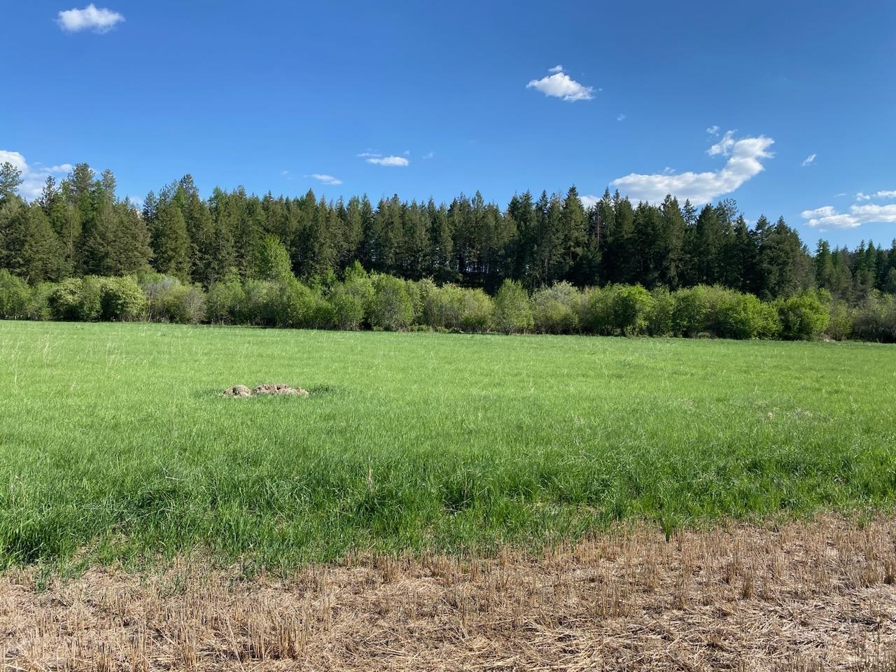 Photo 4 of 13 of 902X E Little Deep Creek Ln land