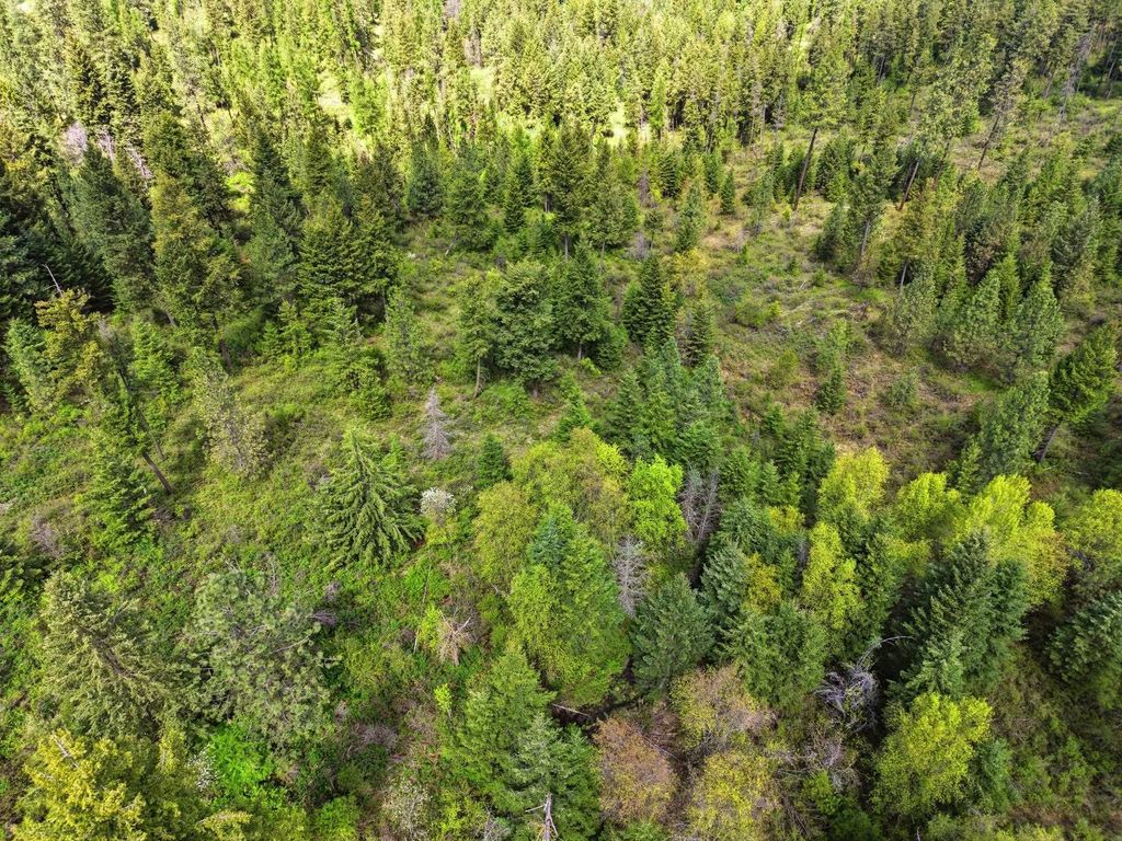 Photo of XXXX Woolard Rd, Colbert, WA 99005 (MLS # 202616249)