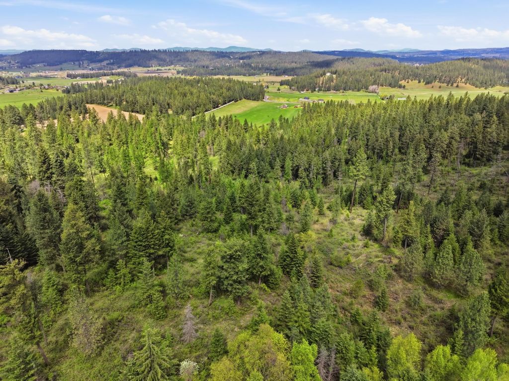 Photo of XXXX Woolard Rd, Colbert, WA 99005 (MLS # 202616249)