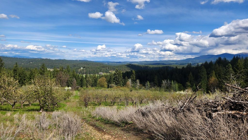 Photo of XXXX Woolard Rd, Colbert, WA 99005 (MLS # 202616249)