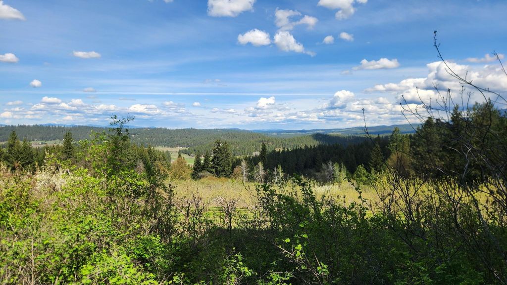 Photo of XXXX Woolard Rd, Colbert, WA 99005 (MLS # 202616249)