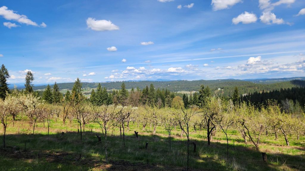 Photo of XXXX Woolard Rd, Colbert, WA 99005 (MLS # 202616249)