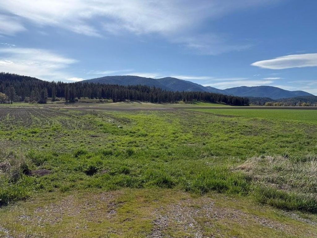 Photo of TBD Zimmer Rd, Addy, WA 99101 (MLS # 202616123)