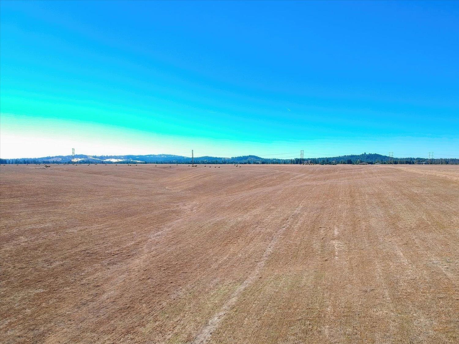 Photo 1 of 11 — 21XXX N Division Ln, Colbert, WA 99005