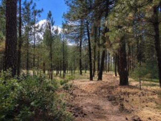 Photo 1 of 20 — 1213 FUMI Cir, Kettle Falls, WA 99141