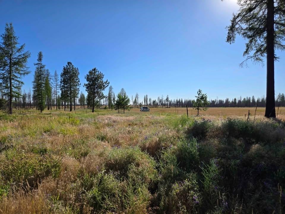 Photo of 14xxx E Oregon Rd, Elk, WA 99009 (MLS # 202626076)