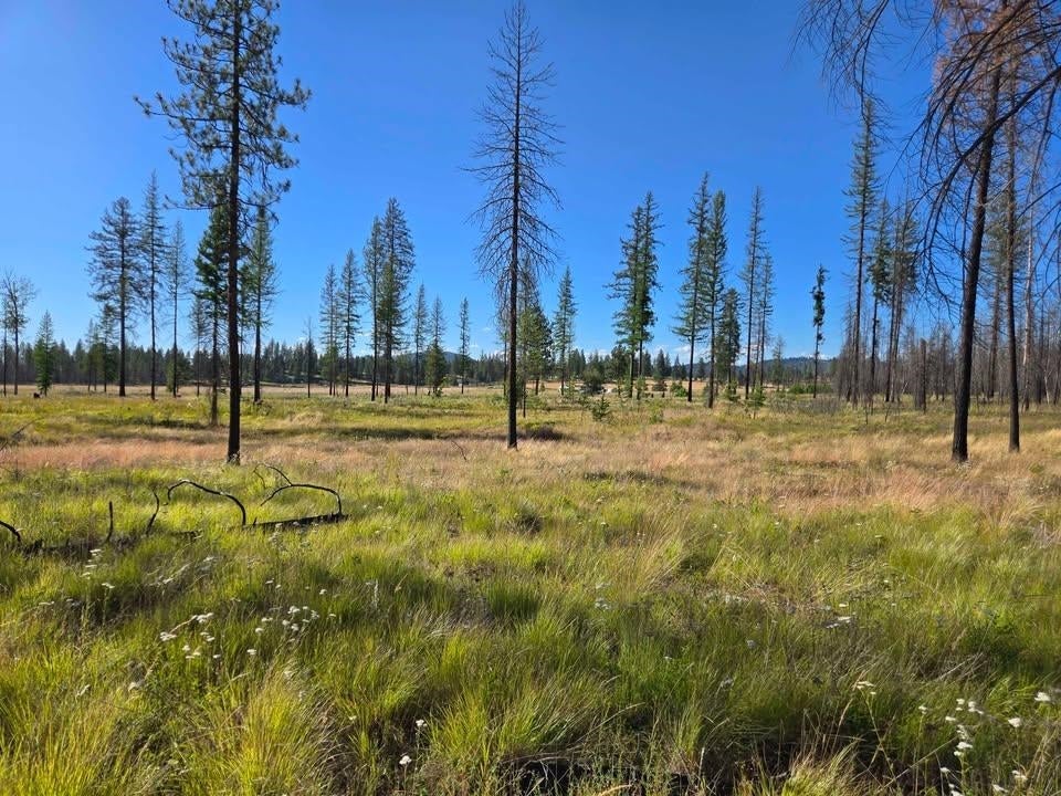 Photo of 14xxx E Oregon Rd, Elk, WA 99009 (MLS # 202626076)