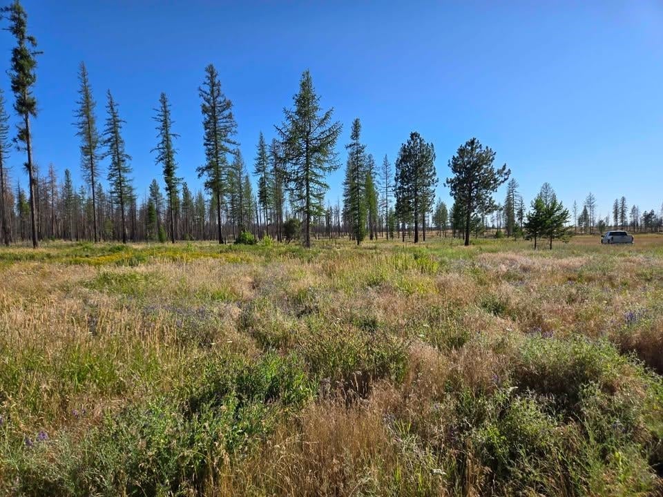 Photo of 14xxx E Oregon Rd, Elk, WA 99009 (MLS # 202626076)