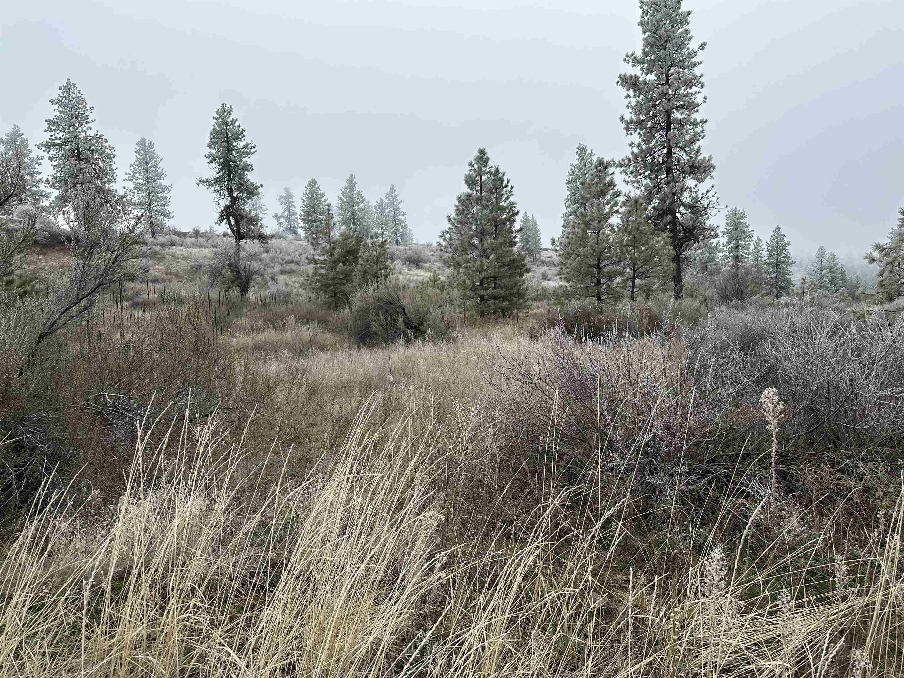 View Creston, WA 99117 land