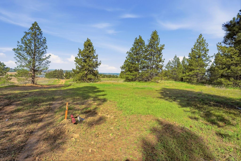 Photo of 00 Unknown W 4th Avenue Dr, Cheney, WA 99004 (MLS # 202622848)