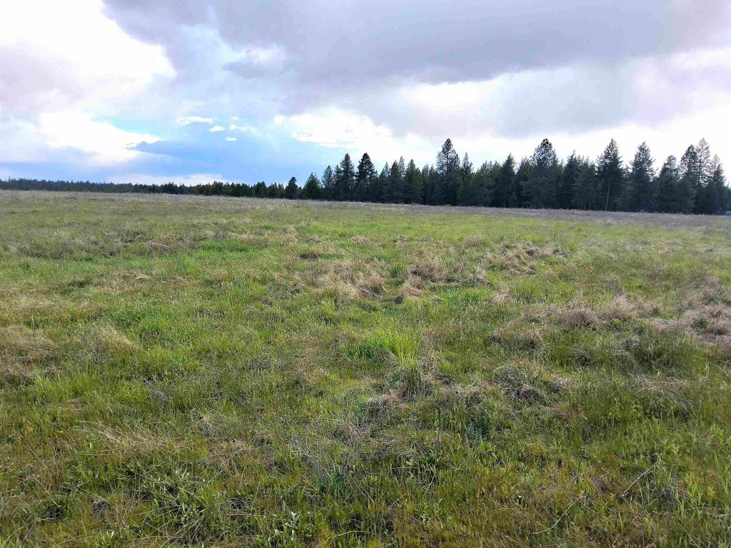 Photo of 000 W INSERT Ln, Deer Park, WA 99006 (MLS # 202616452)