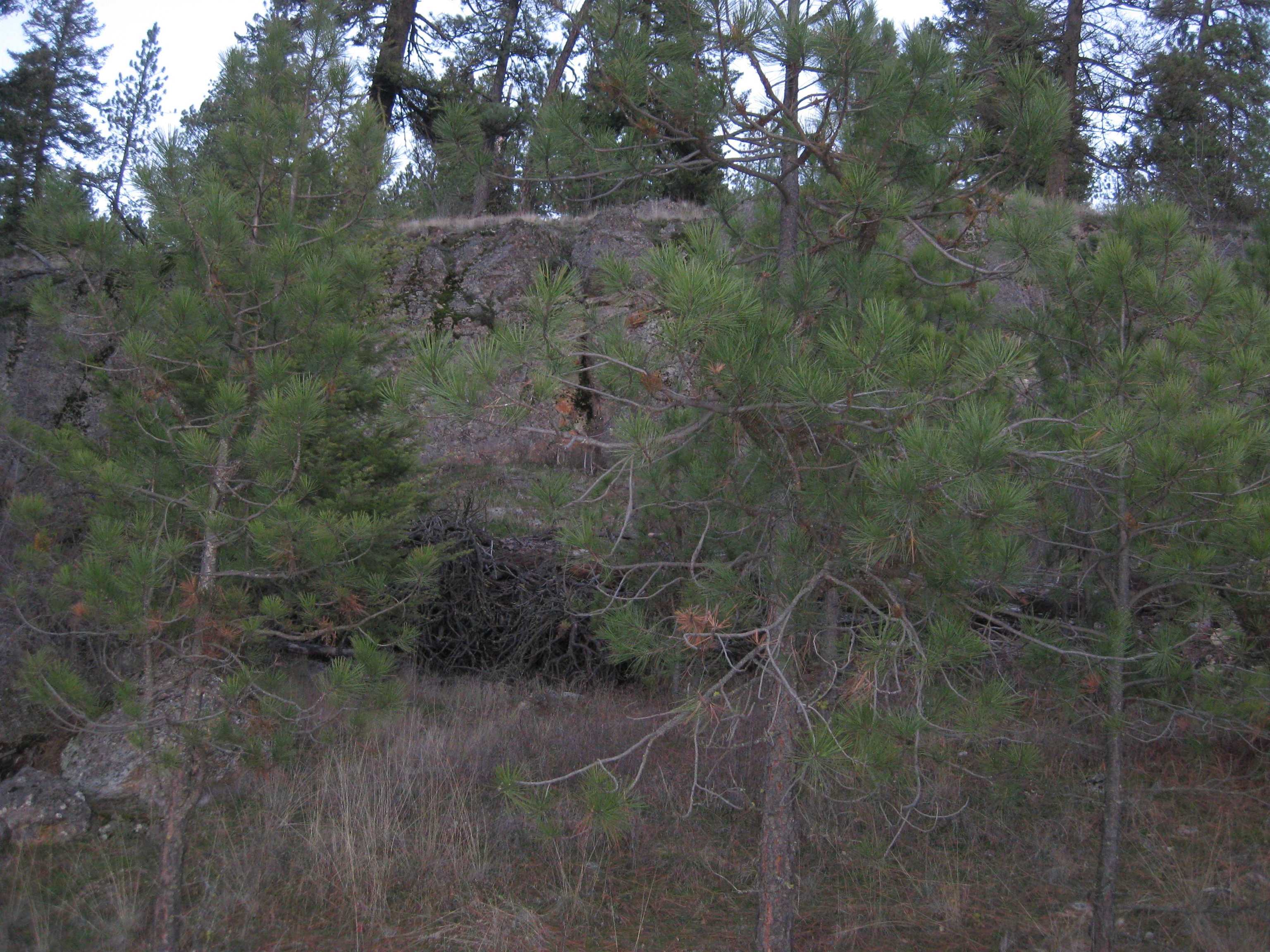 Photo 2 of 31 of 4249 D Hwy 231 Hwy land