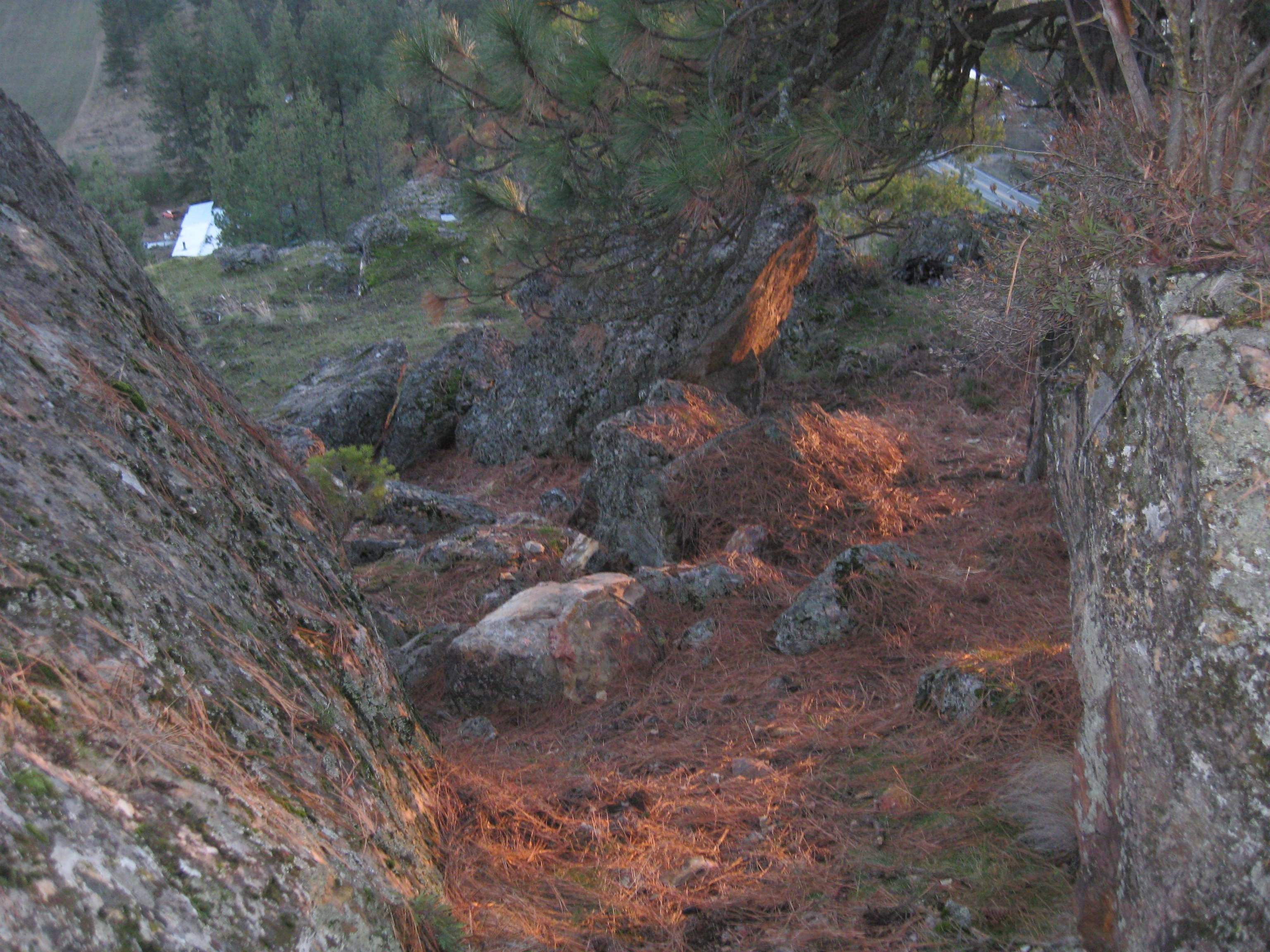 Photo 10 of 31 of 4249 D Hwy 231 Hwy land