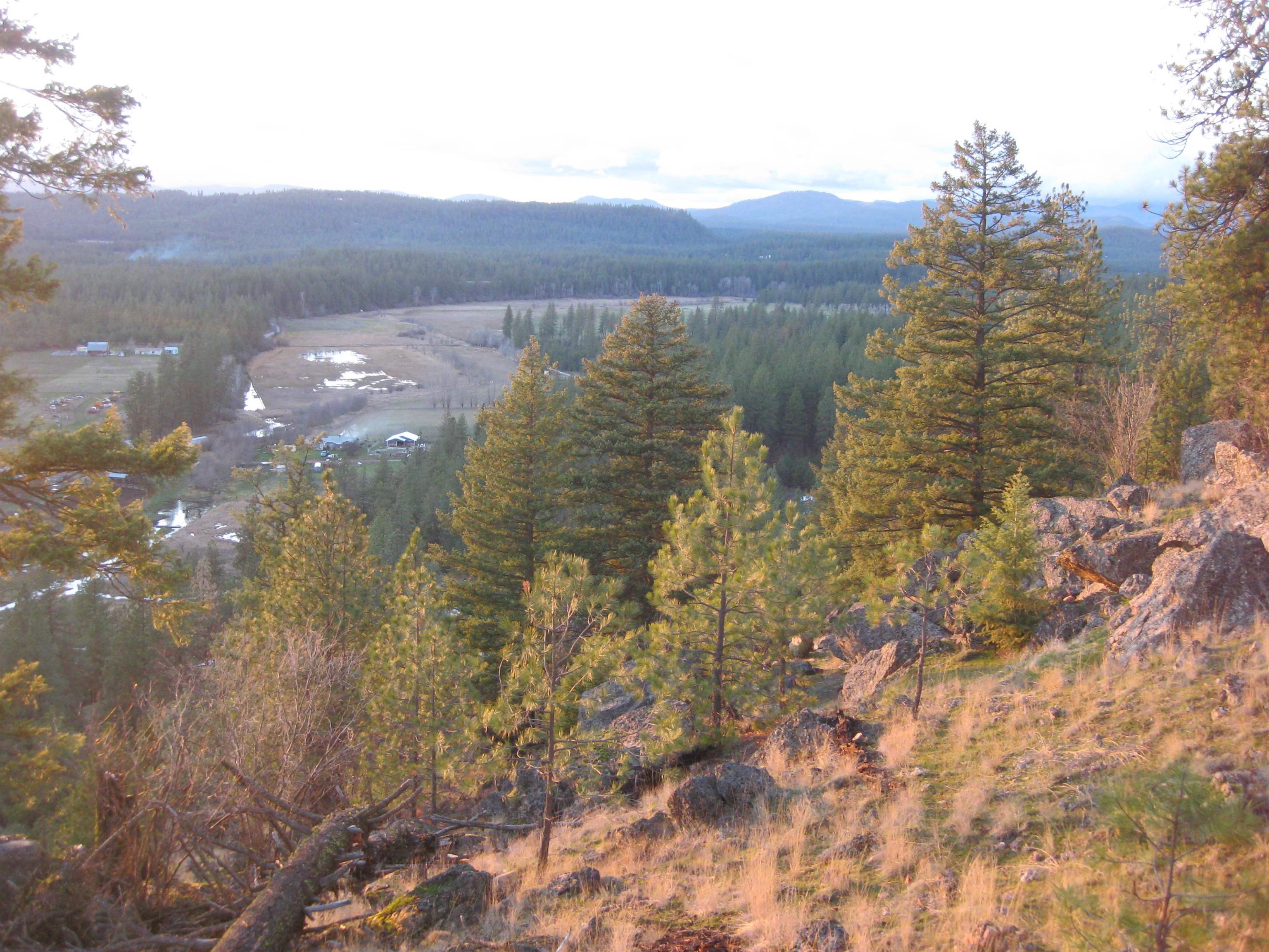 Photo 11 of 31 of 4249 D Hwy 231 Hwy land