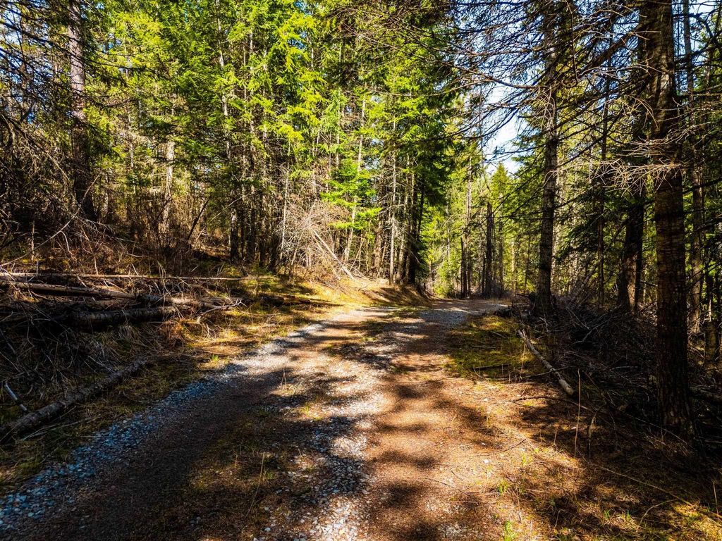 Photo of NKA S 56 Acres Tanglewood Dr, Post Falls, ID 83854 (MLS # 202517004)