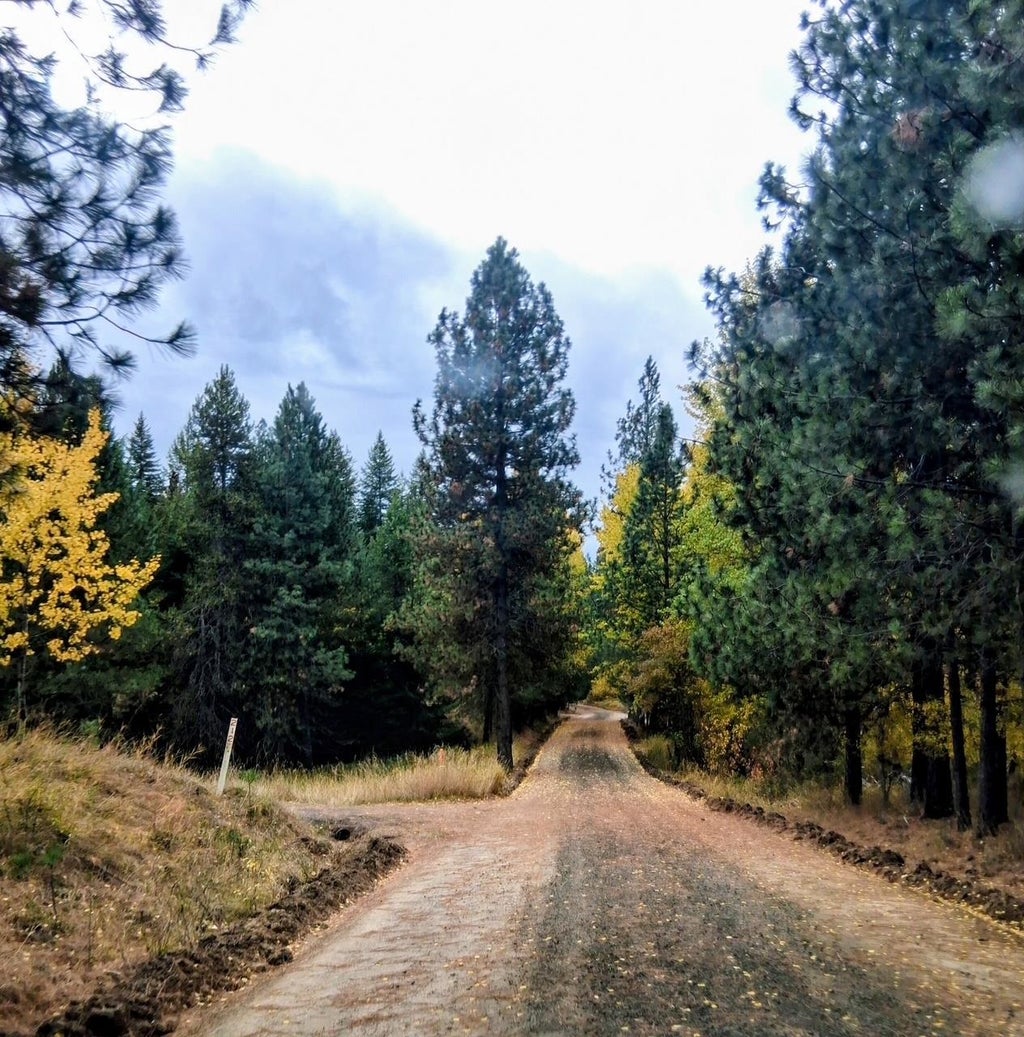 Photo of 706 mccammon Rd, Elk, WA 99009 (MLS # 202623501)