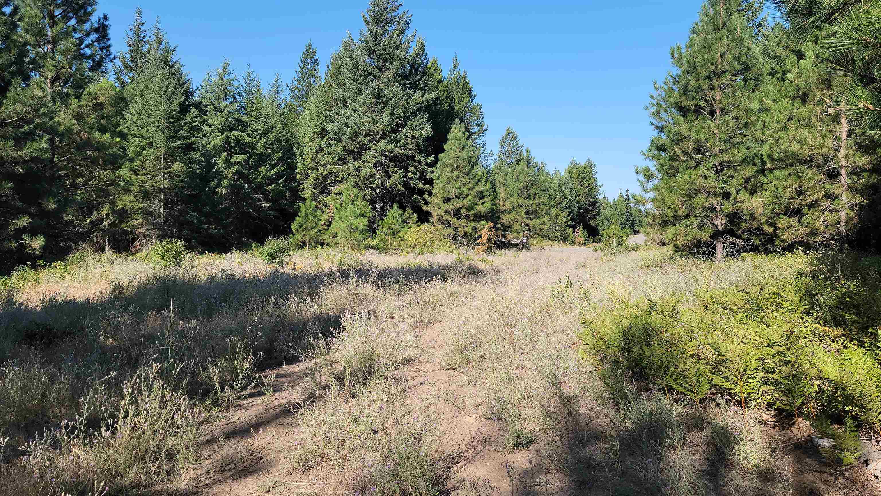 Photo 1 of 20 — 642 Overlook Dr, Newport, WA 99156
