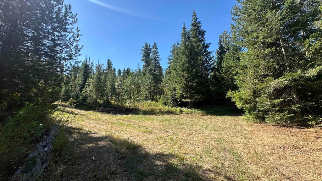 Photo of 114XX E Antler Rd, Chattaroy, WA 99003 (MLS # 202525419)