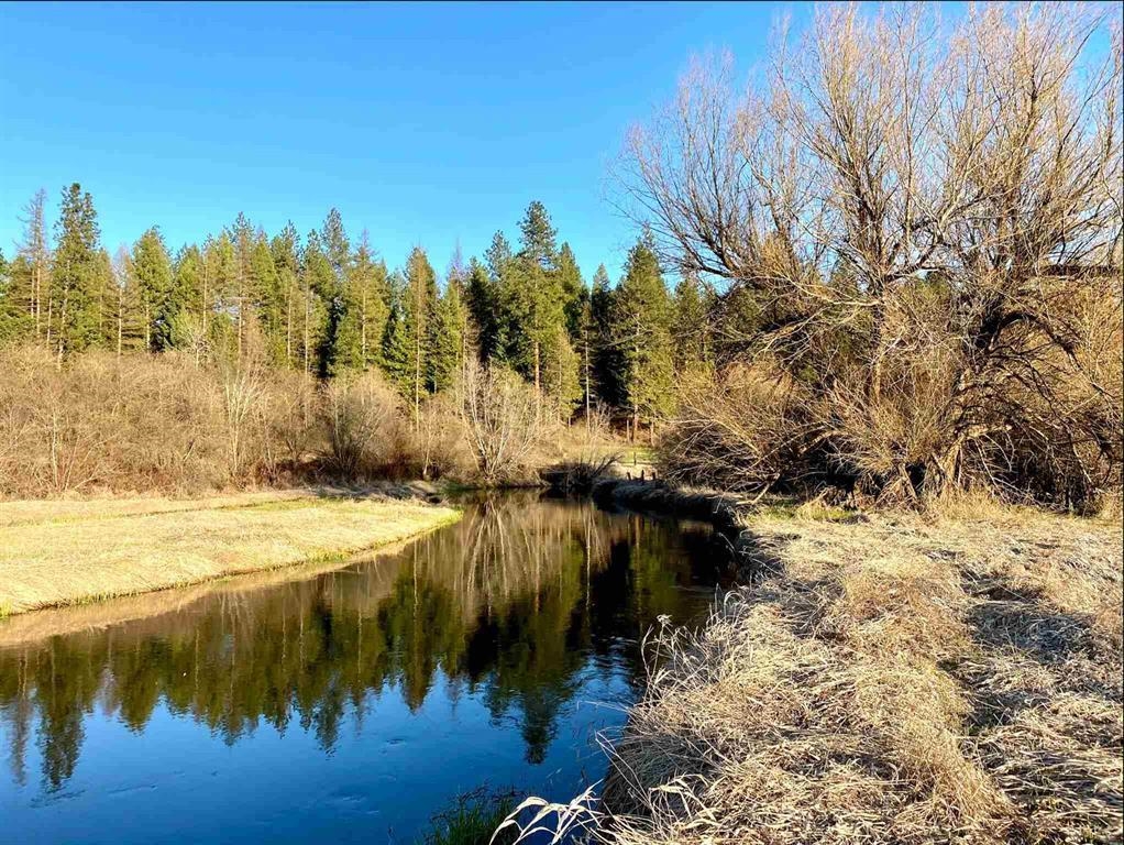 Chattaroy, Washington 99003, United States, ,Land,Active,50243