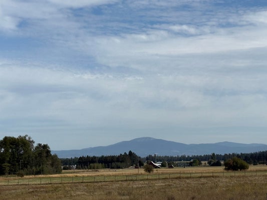 52XX W W HATTERY OWENS RD, DEER PARK, WA 99006 - Image d9beff8fa83d96d0fa81ca6abde51669/1646044856