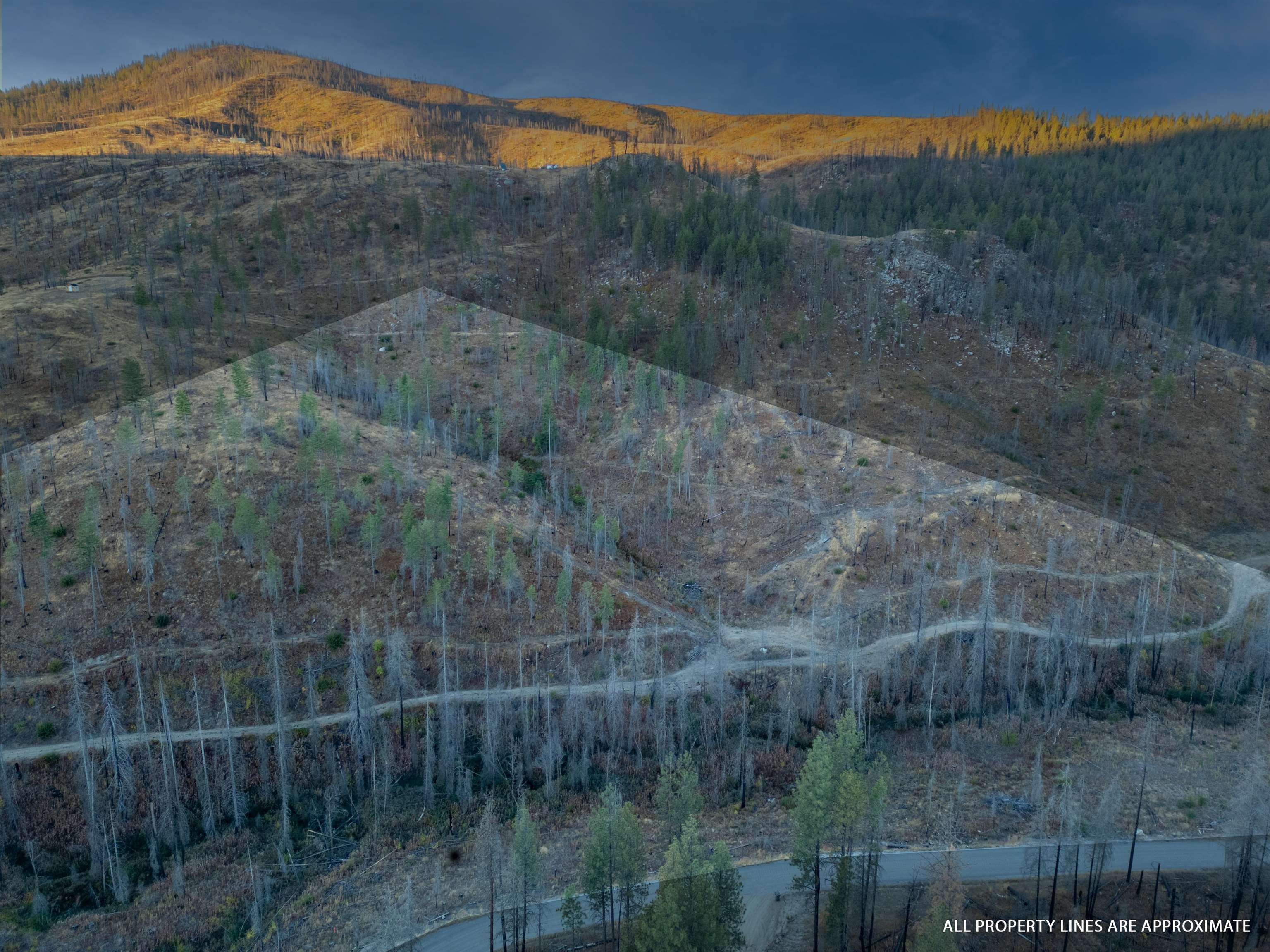 Photo 1 of 11 — Lot 12 Rail Canyon Rd, Springdale, WA 99173