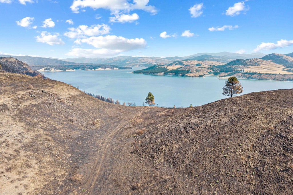 Photo of 329X Silver Creek Rd, Inchelium, WA 99138 (MLS # 202623701)