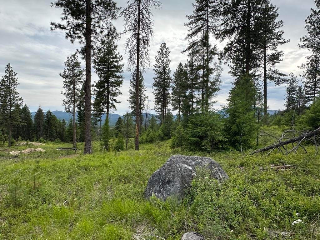 Photo of 36XX Lot P Sheridan Rd, Republic, WA 99166 (MLS # 202624666)