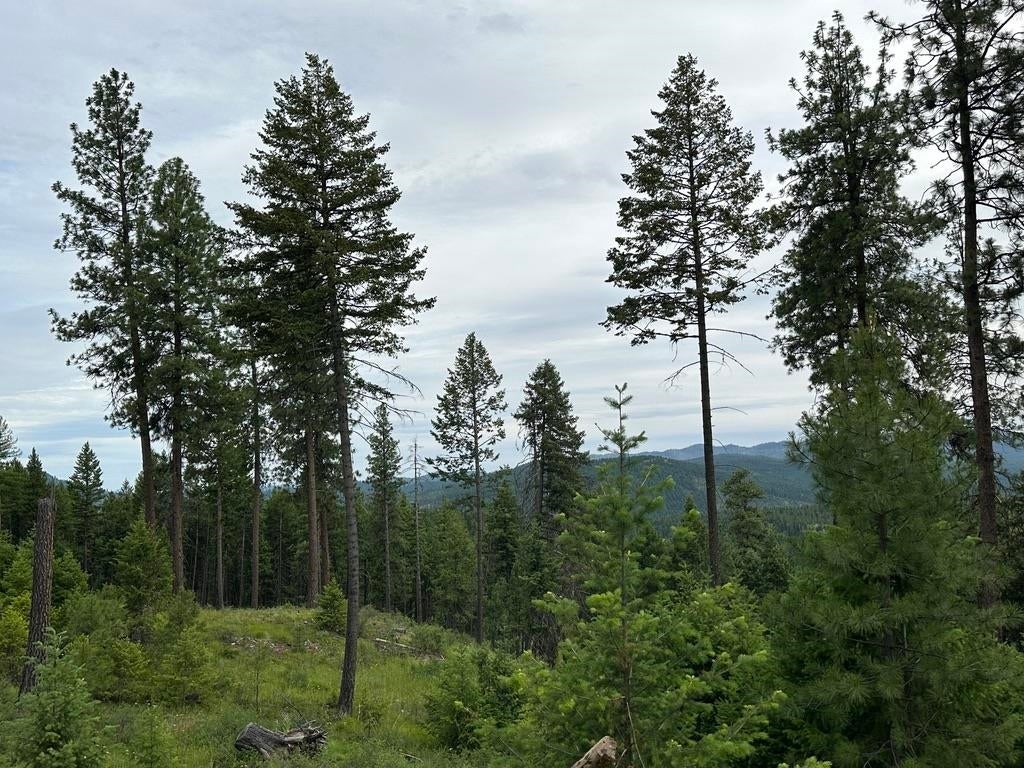 Photo of 36XX Lot P Sheridan Rd, Republic, WA 99166 (MLS # 202624666)