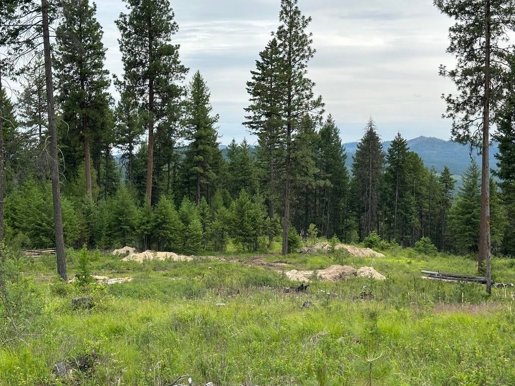 Photo of 36XX Lot P Sheridan Rd, Republic, WA 99166 (MLS # 202624666)