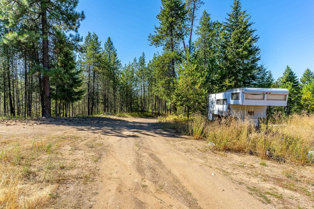 Photo of 1101 Scotia Rd, Newport, WA 99156 (MLS # 202619717)